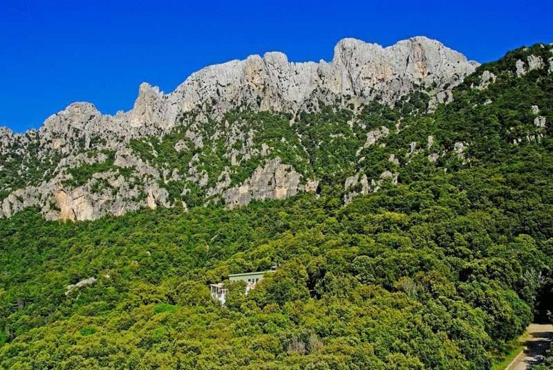 S'Enis Monte Maccione Hotel Oliena Ngoại thất bức ảnh