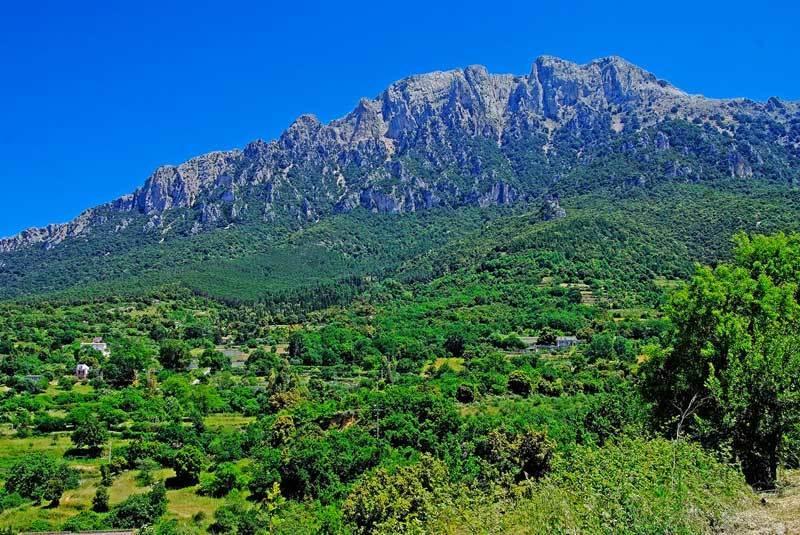 S'Enis Monte Maccione Hotel Oliena Ngoại thất bức ảnh